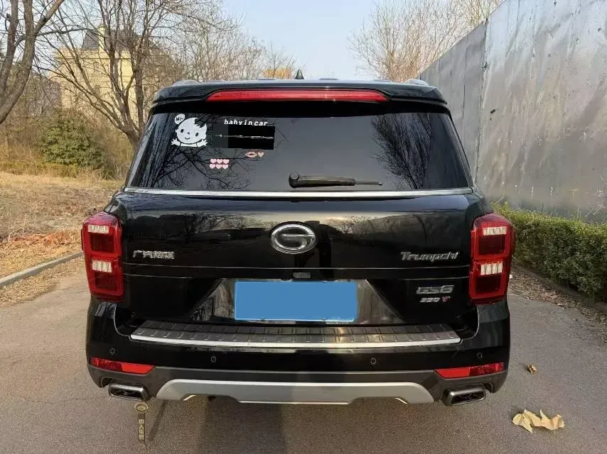 2019 GAC Trumpchi GS8 2.0T 252HP L4 6AT,autocango,china used car exporter,china ev exporter,chinese used car exporter,chinese used ev exporter