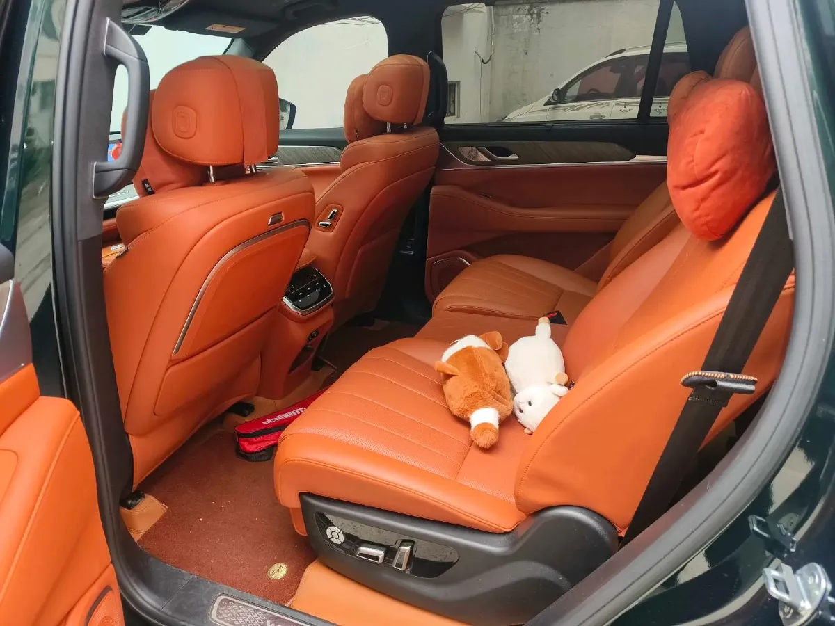 2023 WEY BlueMountain 1.5T 154HP L4 2DHT PHEV 44.5KWH,autocango,china used car exporter,china ev exporter,chinese used car exporter,chinese used ev exporter