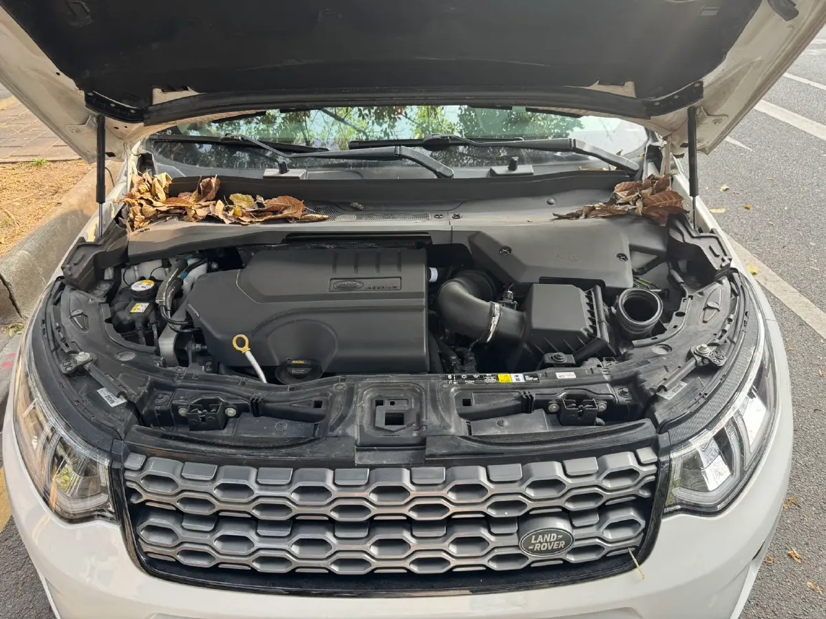 2020 Land Rover Discovery Sport 2.0T 249HP L4 9AT,autocango,china used car exporter,china ev exporter,chinese used car exporter,chinese used ev exporter