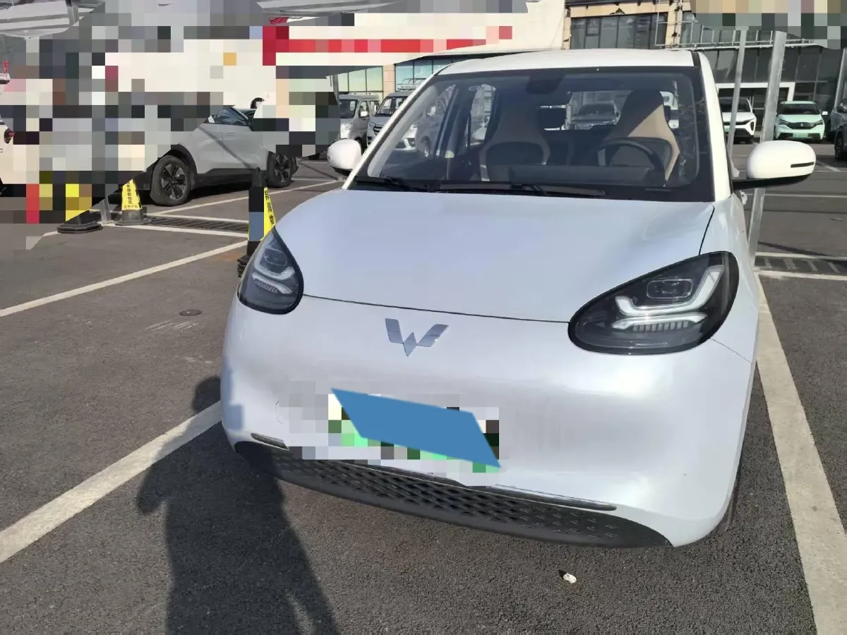 2023 WuLing BinGuo BEV 37.9KWH,autocango,china used car exporter,china ev exporter,chinese used car exporter,chinese used ev exporter