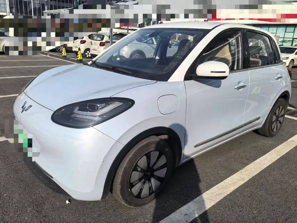 2023 WuLing BinGuo BEV 37.9KWH,autocango,china used car exporter,china ev exporter,chinese used car exporter,chinese used ev exporter