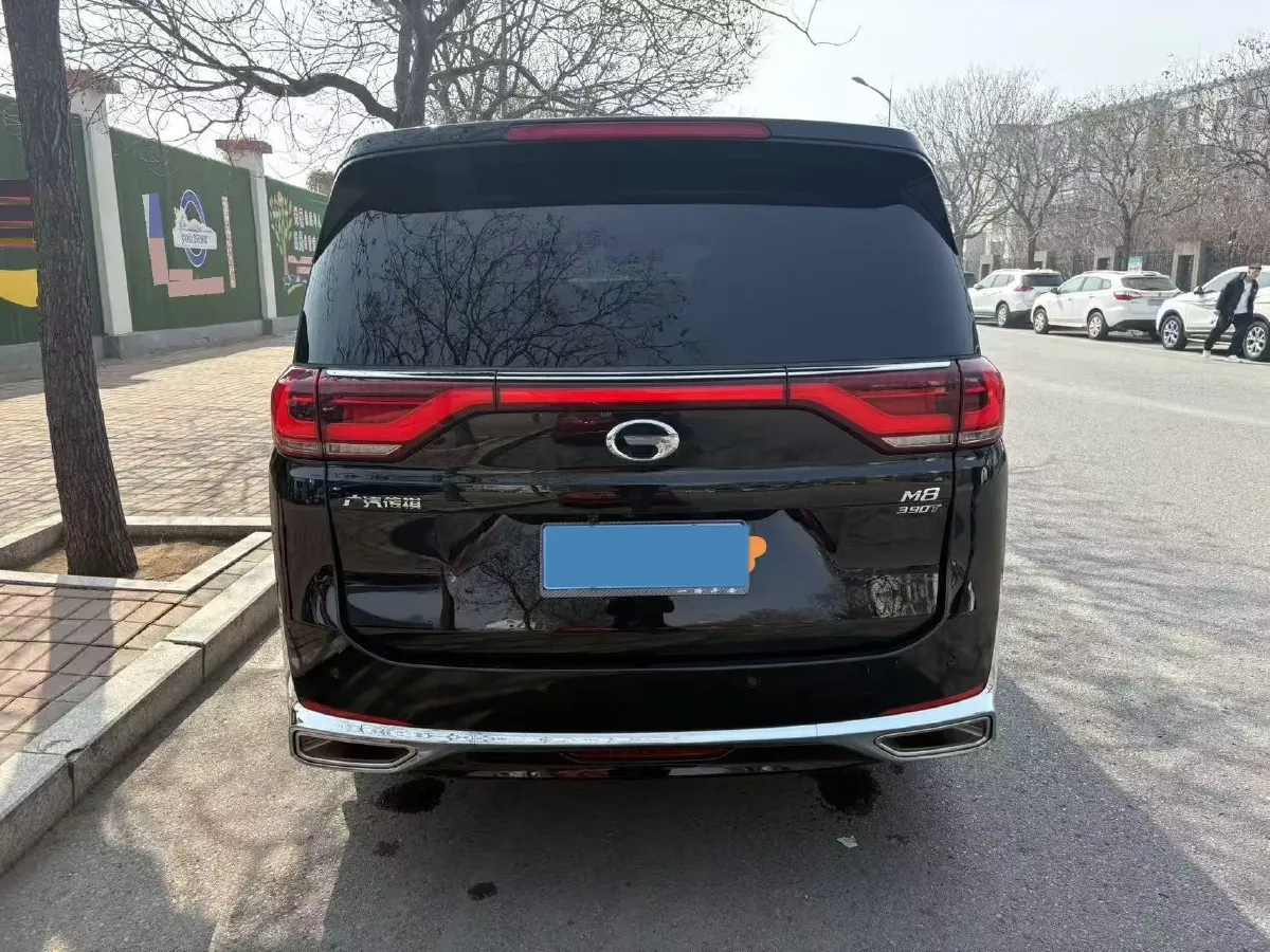 2023 GAC Trumpchi M8 2.0T 252HP L4 8AT,autocango,china used car exporter,china ev exporter,chinese used car exporter,chinese used ev exporter