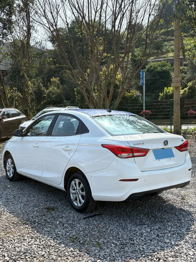 2019 ChangAn Alsvin 1.5L 107HP L4 5DCT,autocango,china used car exporter,china ev exporter,chinese used car exporter,chinese used ev exporter