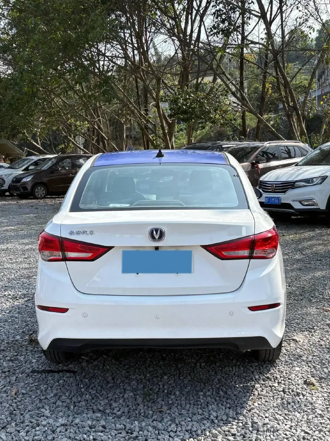 2019 ChangAn Alsvin 1.5L 107HP L4 5DCT,autocango,china used car exporter,china ev exporter,chinese used car exporter,chinese used ev exporter