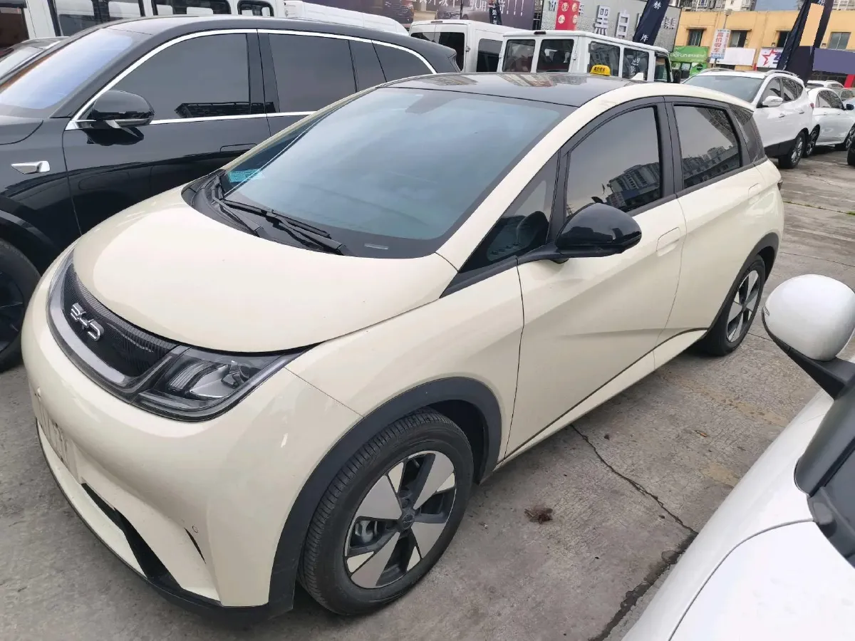 2023 BYD Dolphin BEV 44.928KWH,autocango,china used car exporter,china ev exporter,chinese used car exporter,chinese used ev exporter