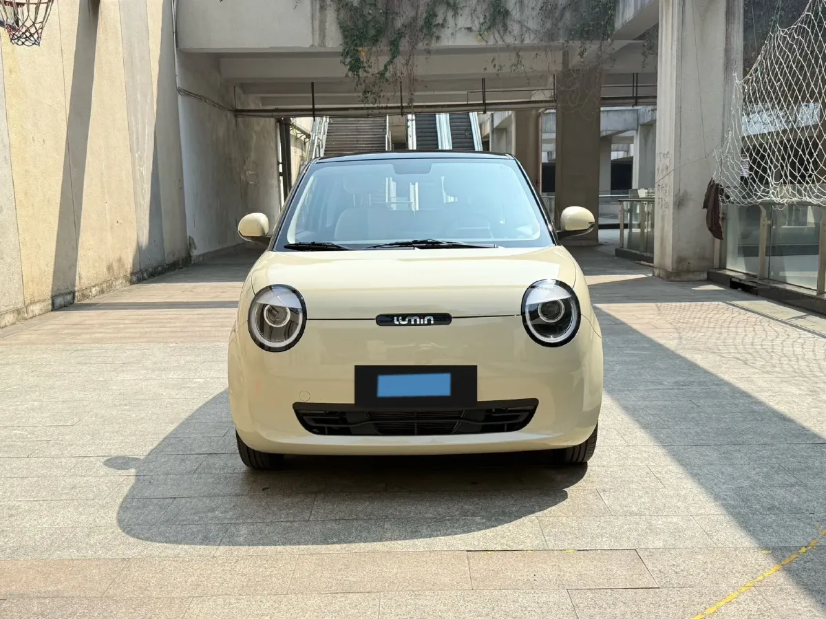 2024 ChangAn QiYuan Lumin BEV 17.65KWH,autocango,china used car exporter,china ev exporter,chinese used car exporter,chinese used ev exporter