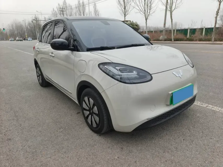2023 WuLing BinGuo BEV 37.9KWH,autocango,china used car exporter,china ev exporter,chinese used car exporter,chinese used ev exporter