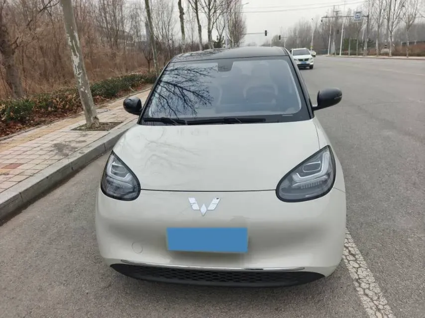 2023 WuLing BinGuo BEV 37.9KWH,autocango,china used car exporter,china ev exporter,chinese used car exporter,chinese used ev exporter