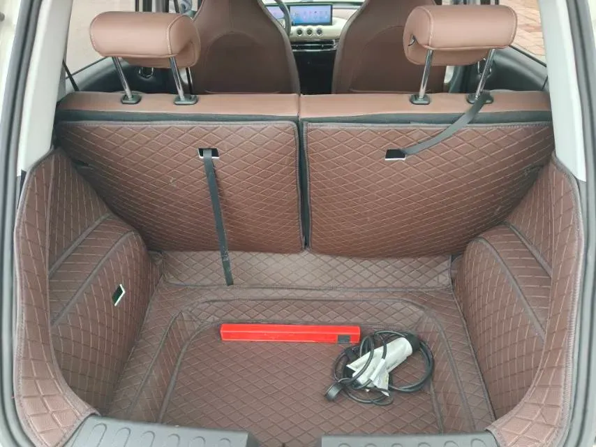 2023 WuLing BinGuo BEV 37.9KWH,autocango,china used car exporter,china ev exporter,chinese used car exporter,chinese used ev exporter