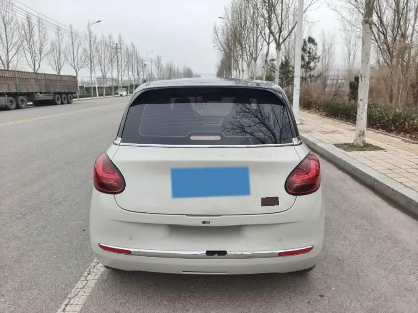 2023 WuLing BinGuo BEV 37.9KWH,autocango,china used car exporter,china ev exporter,chinese used car exporter,chinese used ev exporter