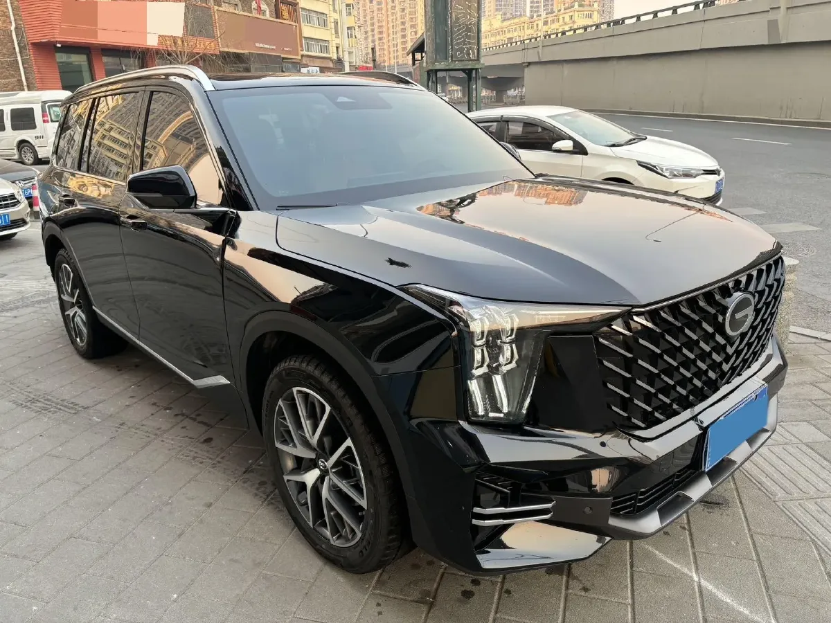 2024 GAC Trumpchi GS8 2.0T 252HP L4 8AT,autocango,china used car exporter,china ev exporter,chinese used car exporter,chinese used ev exporter