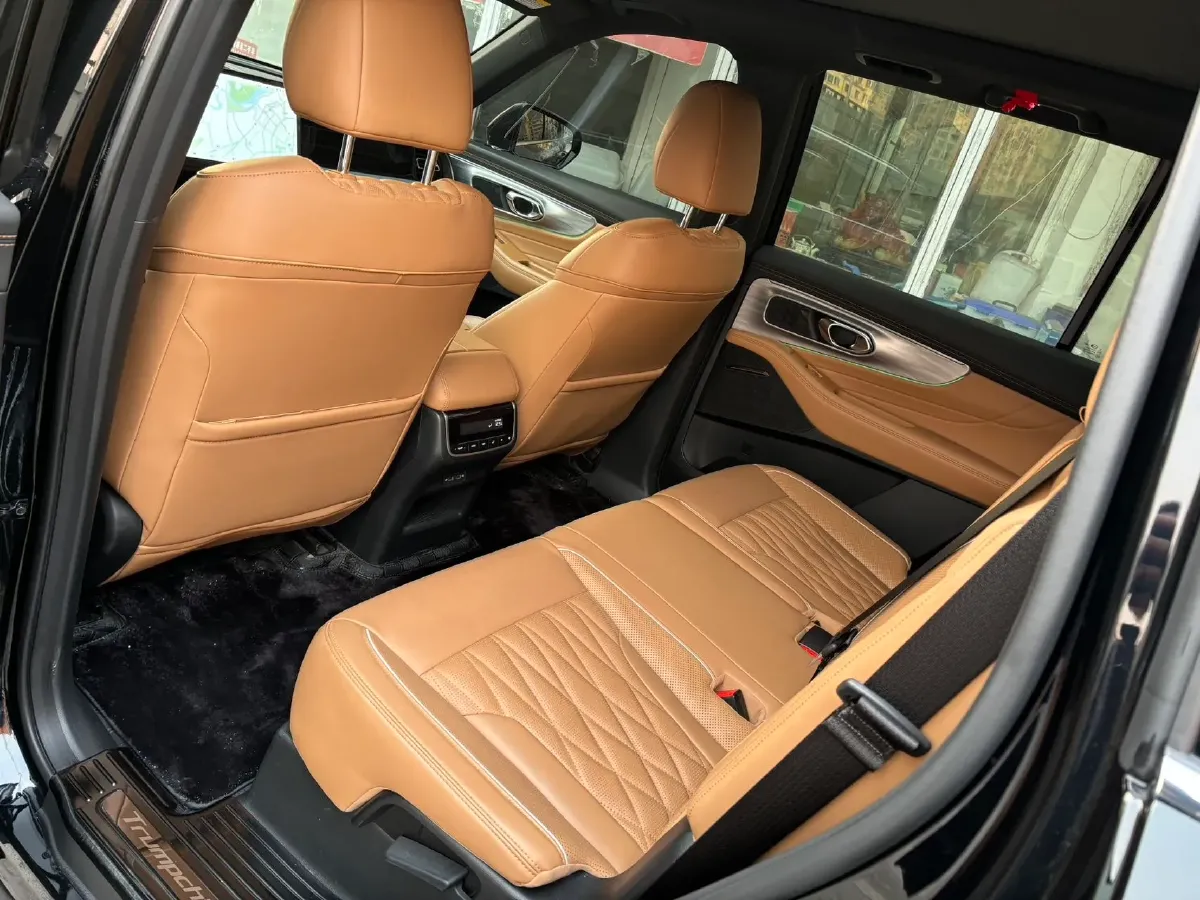 2024 GAC Trumpchi GS8 2.0T 252HP L4 8AT,autocango,china used car exporter,china ev exporter,chinese used car exporter,chinese used ev exporter