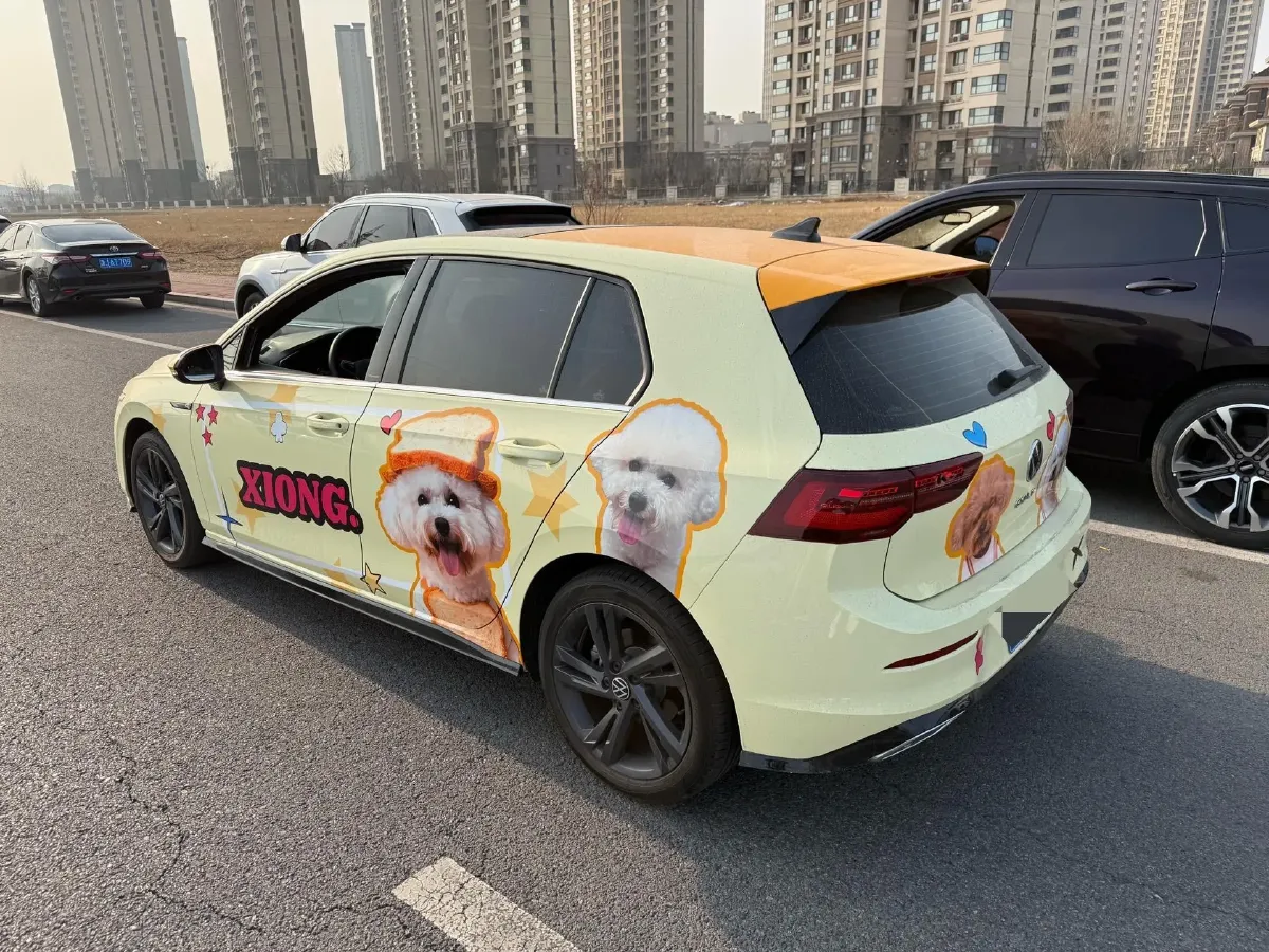 2023 Volkswagen Golf 1.4T 150HP L4 7DCT,autocango,china used car exporter,china ev exporter,chinese used car exporter,chinese used ev exporter