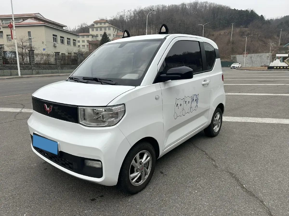 2021 WuLing HongGuang MINI EV BEV 13.8KWH,autocango,china used car exporter,china ev exporter,chinese used car exporter,chinese used ev exporter