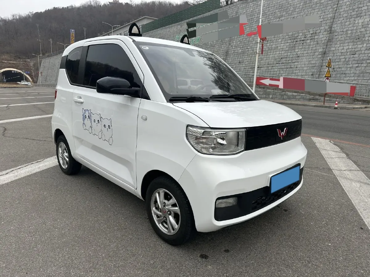 2021 WuLing HongGuang MINI EV BEV 13.8KWH,autocango,china used car exporter,china ev exporter,chinese used car exporter,chinese used ev exporter