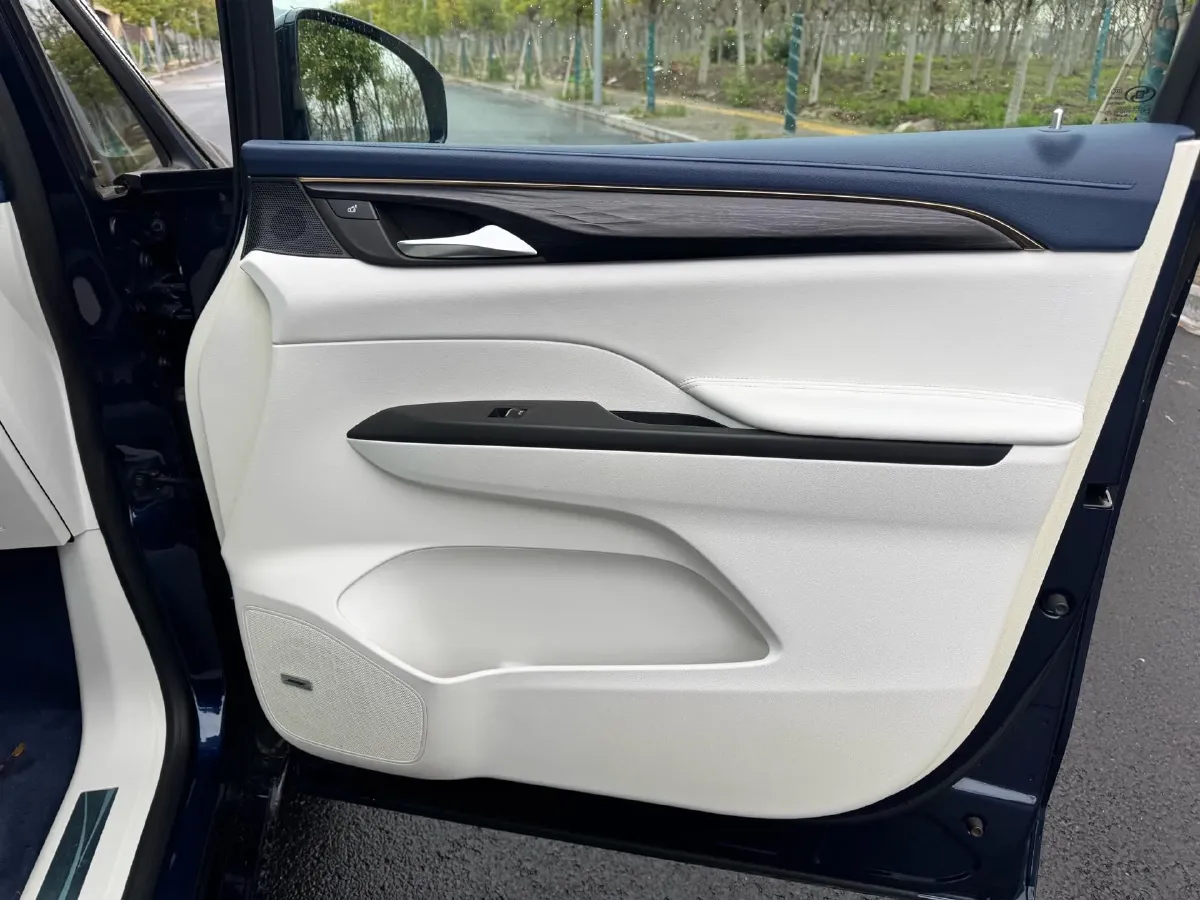 2020 Buick GL8 2.0T 237HP L4 9AT,autocango,china used car exporter,china ev exporter,chinese used car exporter,chinese used ev exporter