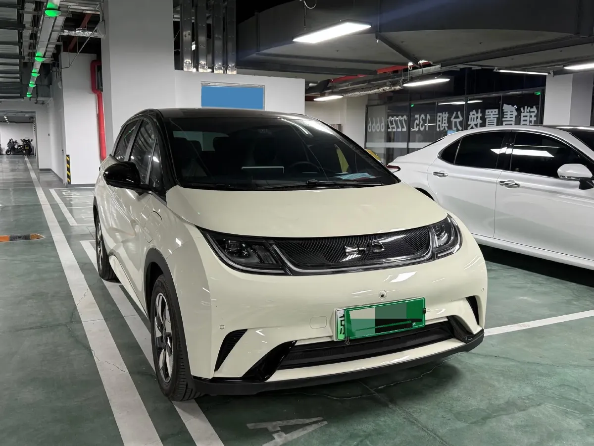 2024 BYD Dolphin BEV 44.928KWH,autocango,china used car exporter,china ev exporter,chinese used car exporter,chinese used ev exporter