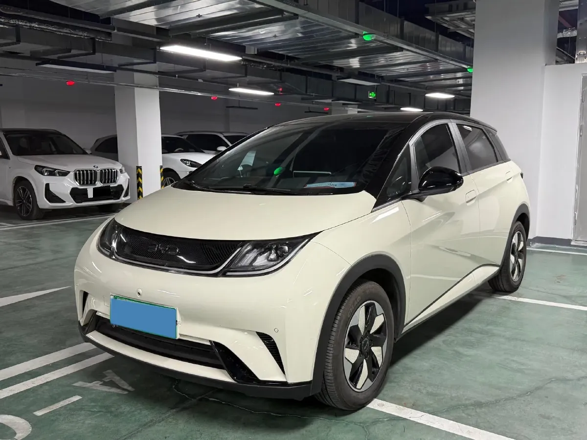 2024 BYD Dolphin BEV 44.928KWH,autocango,china used car exporter,china ev exporter,chinese used car exporter,chinese used ev exporter