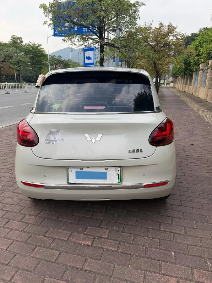 2023 WuLing BinGuo BEV 17.3KWH,autocango,china used car exporter,china ev exporter,chinese used car exporter,chinese used ev exporter