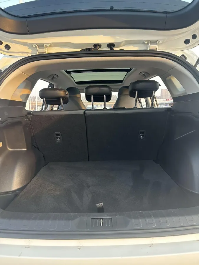 2021 GAC Trumpchi GS4 1.5T 169HP L4 6AT,autocango,china used car exporter,china ev exporter,chinese used car exporter,chinese used ev exporter