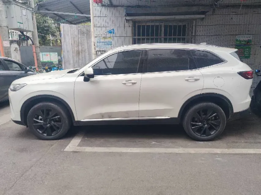 2021 Haval H6 2.0T 211HP L4 7DCT,autocango,china used car exporter,china ev exporter,chinese used car exporter,chinese used ev exporter