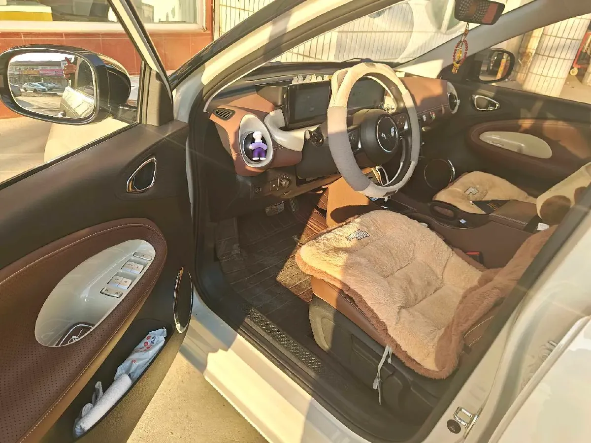 2023 WuLing BinGuo BEV 17.3KWH,autocango,china used car exporter,china ev exporter,chinese used car exporter,chinese used ev exporter