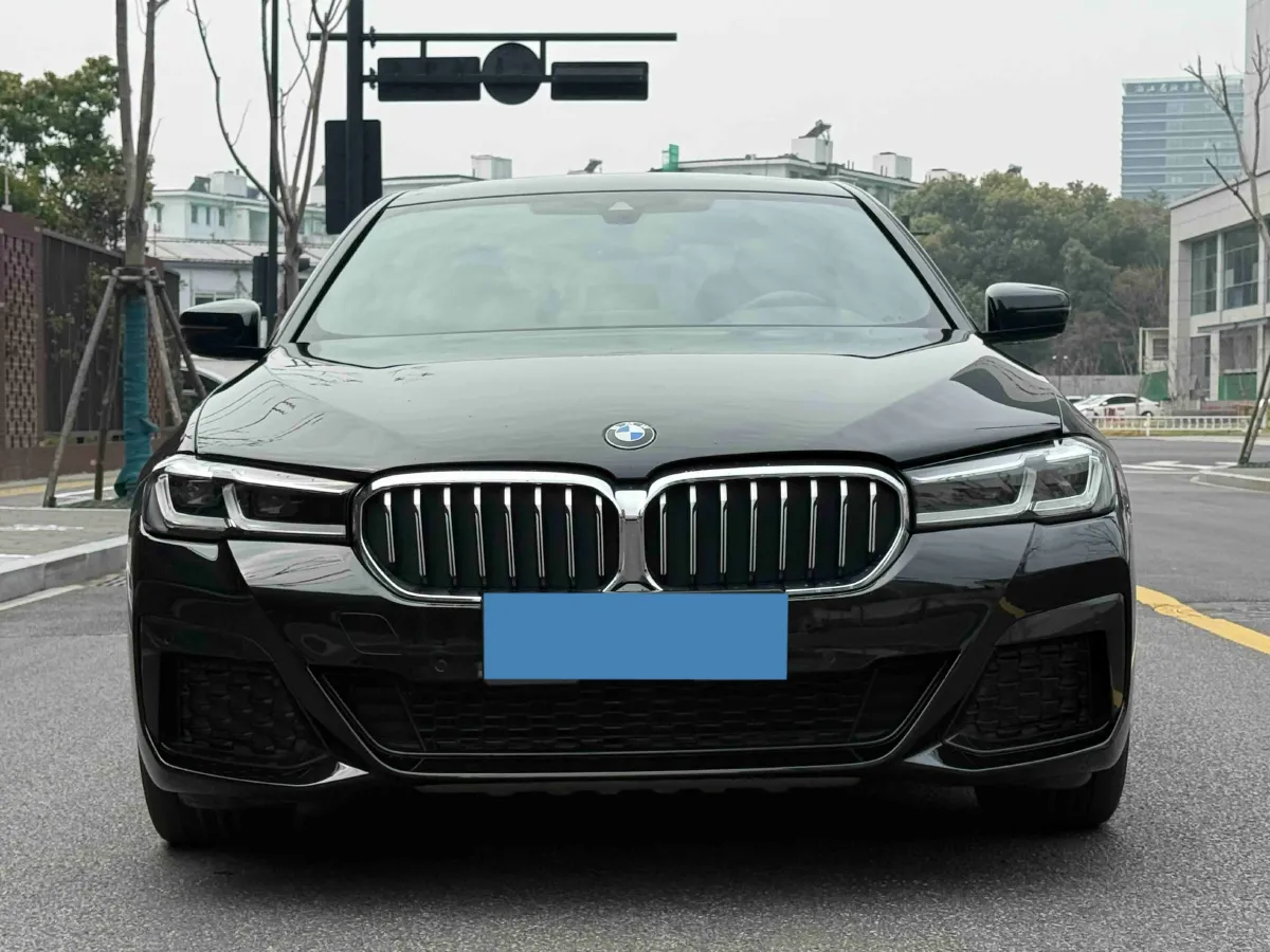 2021 BMW 5 Series 2.0T 184HP L4 8AT PHEV 17.7KWH,autocango,china used car exporter,china ev exporter,chinese used car exporter,chinese used ev exporter