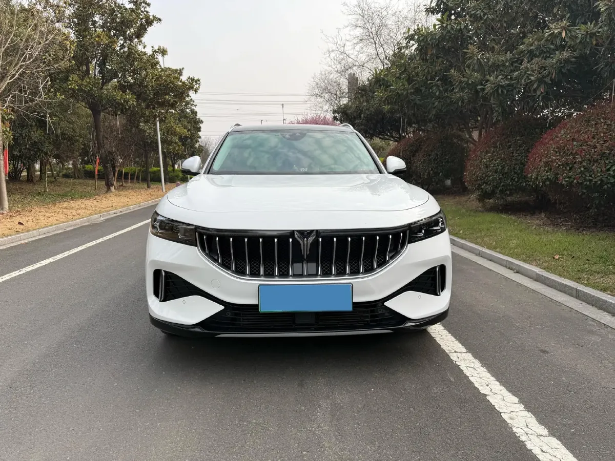 2021 Voyah FREE Range Extended 109HP REEV 33KWH,autocango,china used car exporter,china ev exporter,chinese used car exporter,chinese used ev exporter