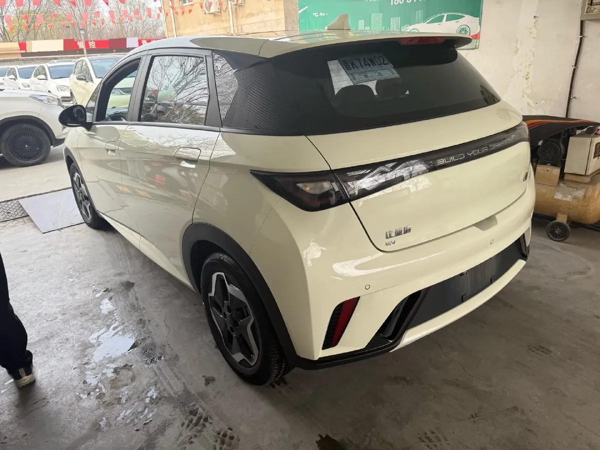 2021 BYD Yuan Pro BEV 50.1KWH,autocango,china used car exporter,china ev exporter,chinese used car exporter,chinese used ev exporter