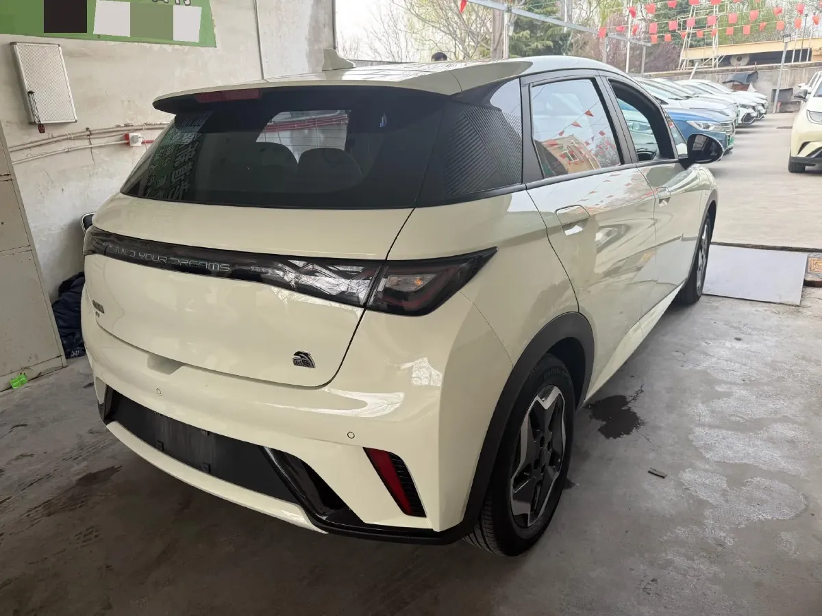 2021 BYD Yuan Pro BEV 50.1KWH,autocango,china used car exporter,china ev exporter,chinese used car exporter,chinese used ev exporter