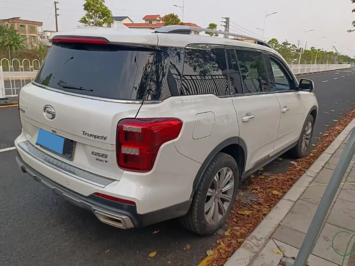 2019 GAC Trumpchi GS8 2.0T 252HP L4 6AT,autocango,china used car exporter,china ev exporter,chinese used car exporter,chinese used ev exporter