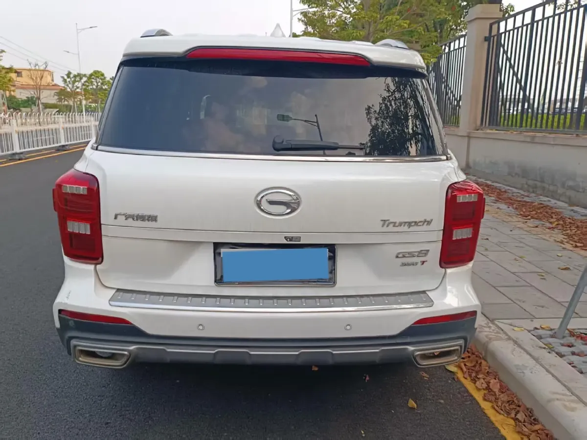 2019 GAC Trumpchi GS8 2.0T 252HP L4 6AT,autocango,china used car exporter,china ev exporter,chinese used car exporter,chinese used ev exporter
