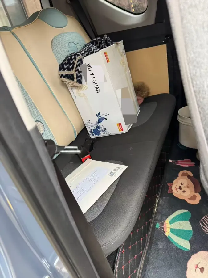 2022 DongFeng Fengon Fengon MINI EV BEV 13.8KWH,autocango,china used car exporter,china ev exporter,chinese used car exporter,chinese used ev exporter