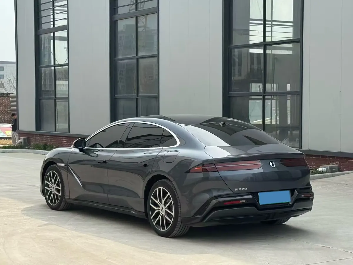 2024 Denza DenzaZ9 2.0T 207HP L4 E-CVT PHEV 38.5KWH,autocango,china used car exporter,china ev exporter,chinese used car exporter,chinese used ev exporter