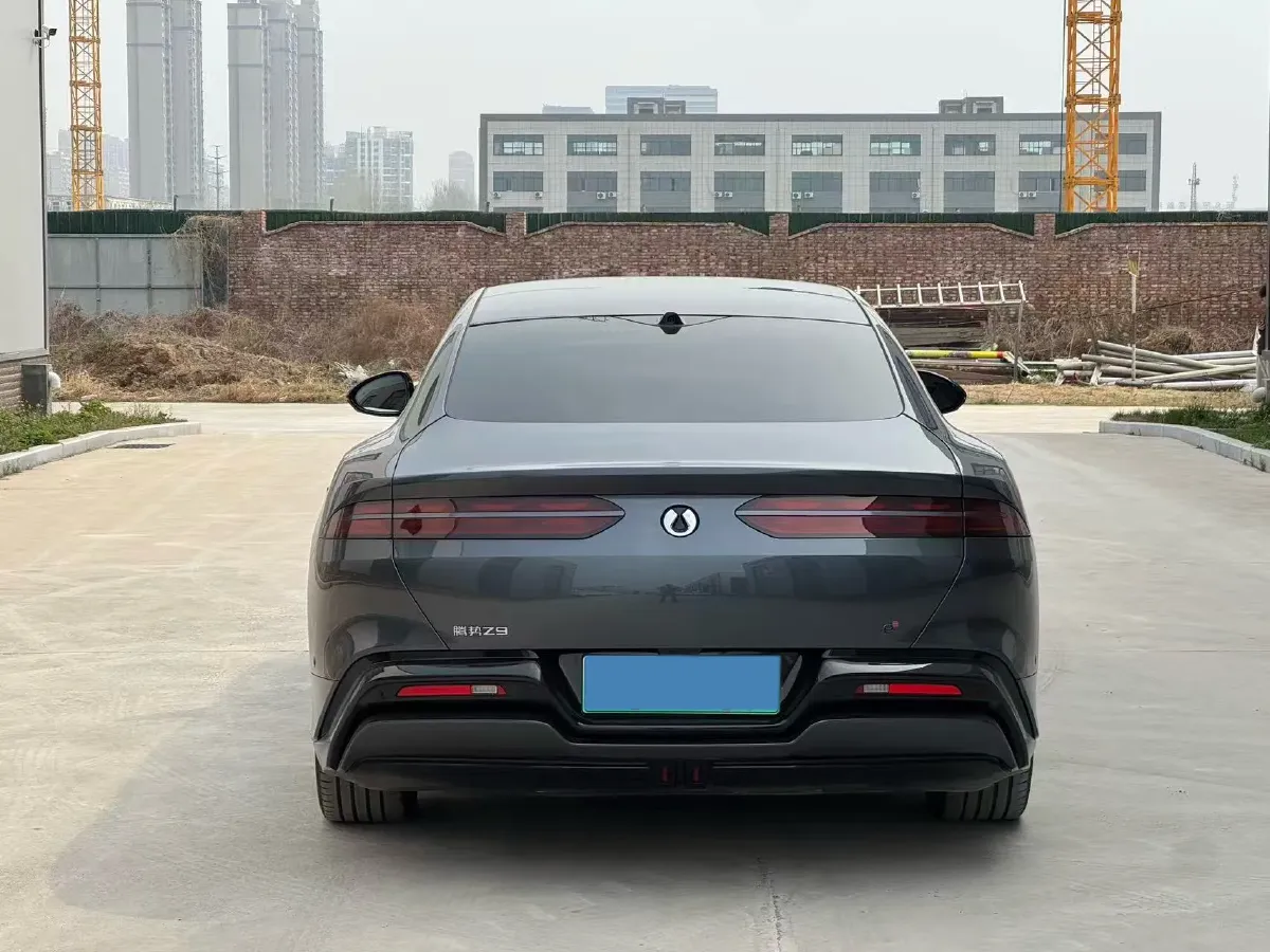 2024 Denza DenzaZ9 2.0T 207HP L4 E-CVT PHEV 38.5KWH,autocango,china used car exporter,china ev exporter,chinese used car exporter,chinese used ev exporter