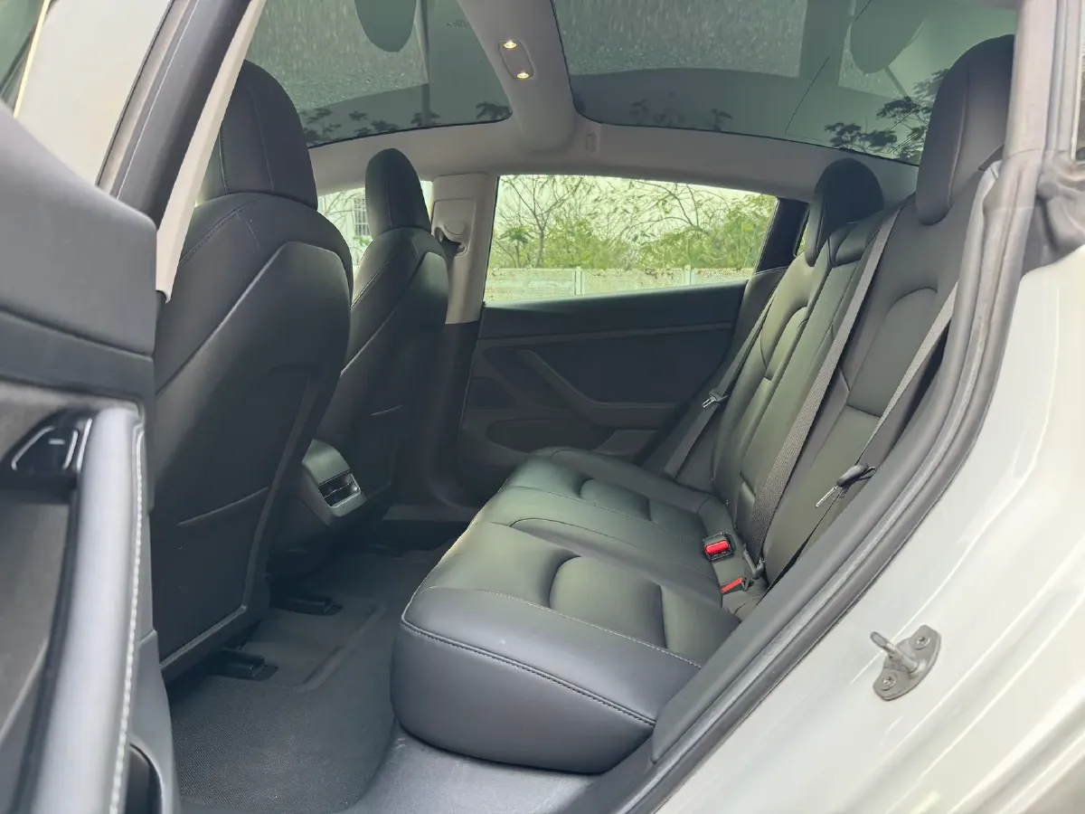 2020 Tesla Model 3 BEV 55KWH,autocango,china used car exporter,china ev exporter,chinese used car exporter,chinese used ev exporter