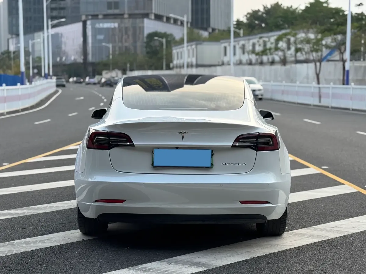 2020 Tesla Model 3 BEV 55KWH,autocango,china used car exporter,china ev exporter,chinese used car exporter,chinese used ev exporter