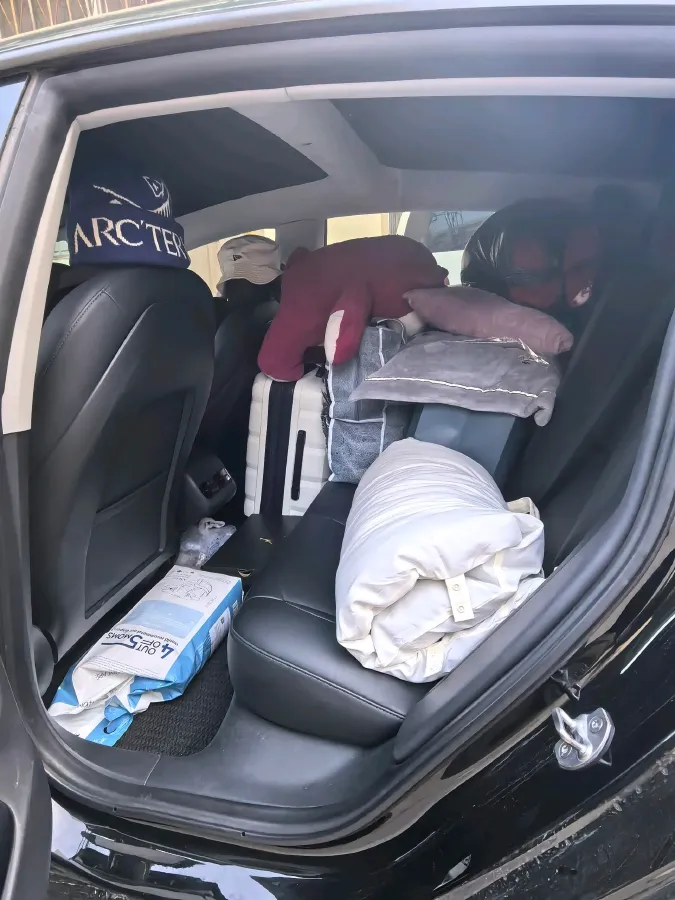 2021 Tesla Model 3 BEV 55KWH,autocango,china used car exporter,china ev exporter,chinese used car exporter,chinese used ev exporter