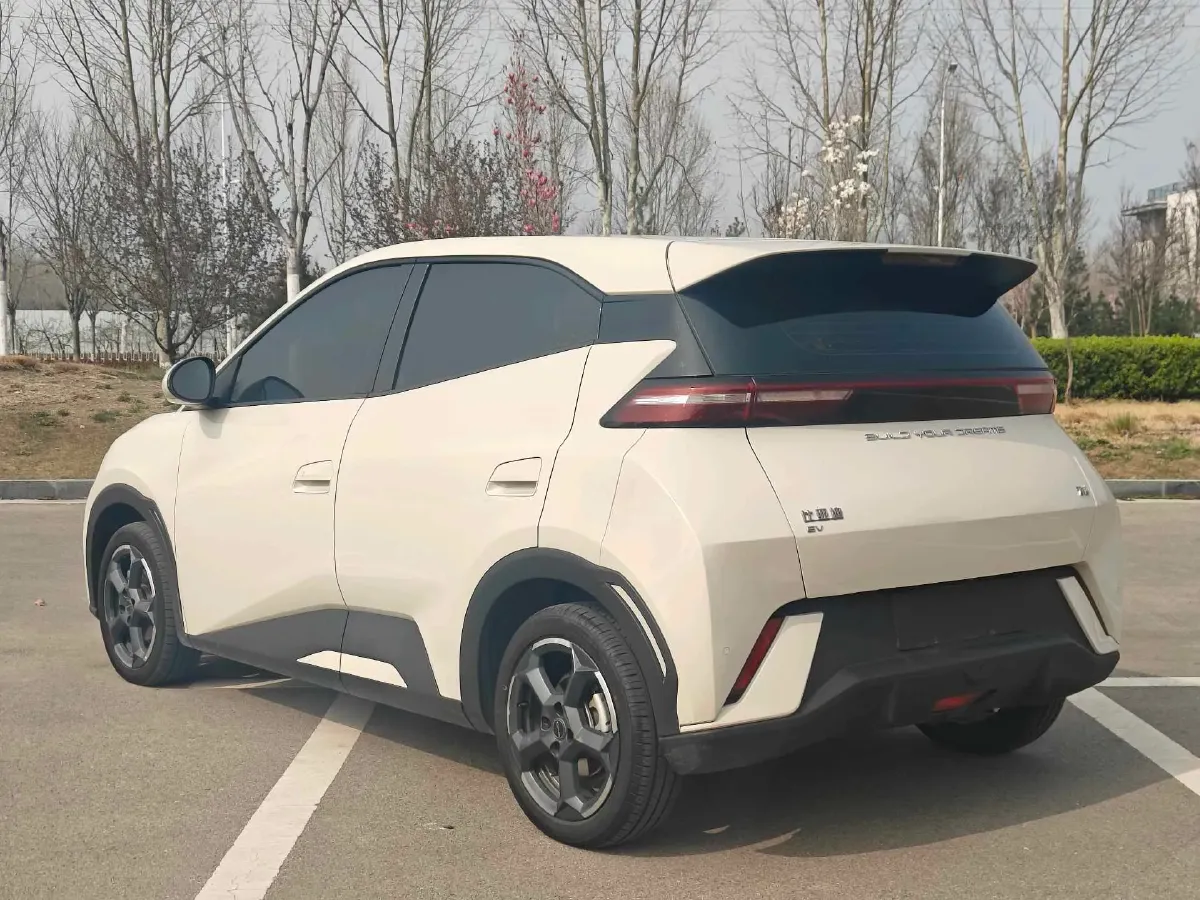 2024 BYD Seagull BEV 30.08KWH,autocango,china used car exporter,china ev exporter,chinese used car exporter,chinese used ev exporter