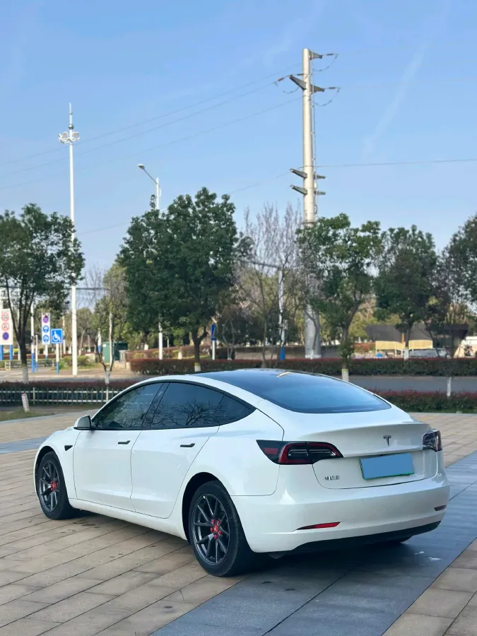 2022 Tesla Model 3 BEV 60KWH,autocango,china used car exporter,china ev exporter,chinese used car exporter,chinese used ev exporter