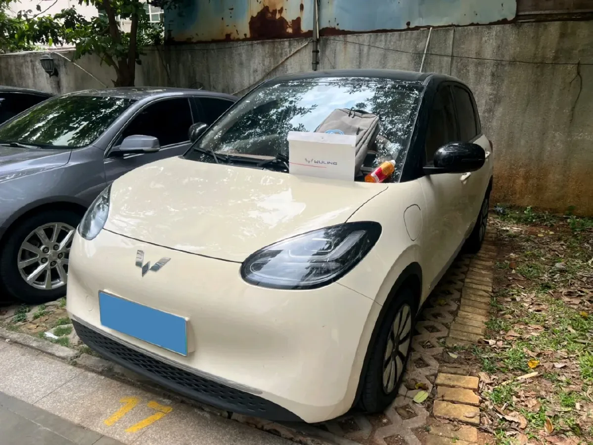 2025 WuLing BinGuo BEV,autocango,china used car exporter,china ev exporter,chinese used car exporter,chinese used ev exporter