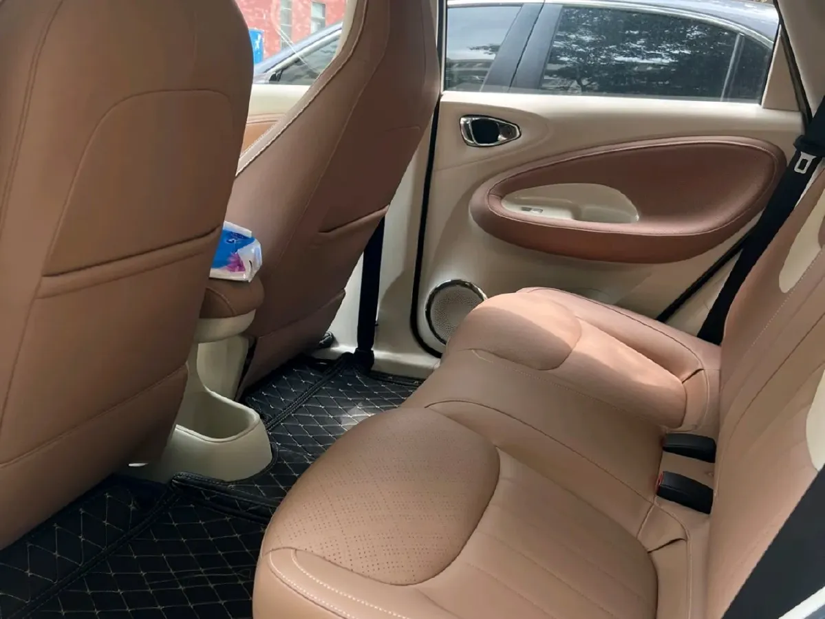 2025 WuLing BinGuo BEV,autocango,china used car exporter,china ev exporter,chinese used car exporter,chinese used ev exporter