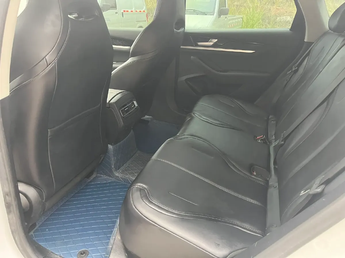 2021 BYD Qin BEV 53.56KWH,autocango,china used car exporter,china ev exporter,chinese used car exporter,chinese used ev exporter