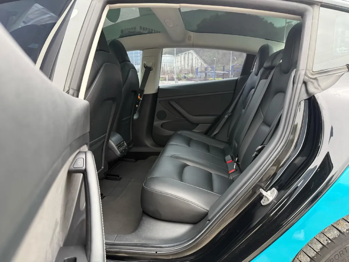 2022 Tesla Model 3 BEV 60KWH,autocango,china used car exporter,china ev exporter,chinese used car exporter,chinese used ev exporter