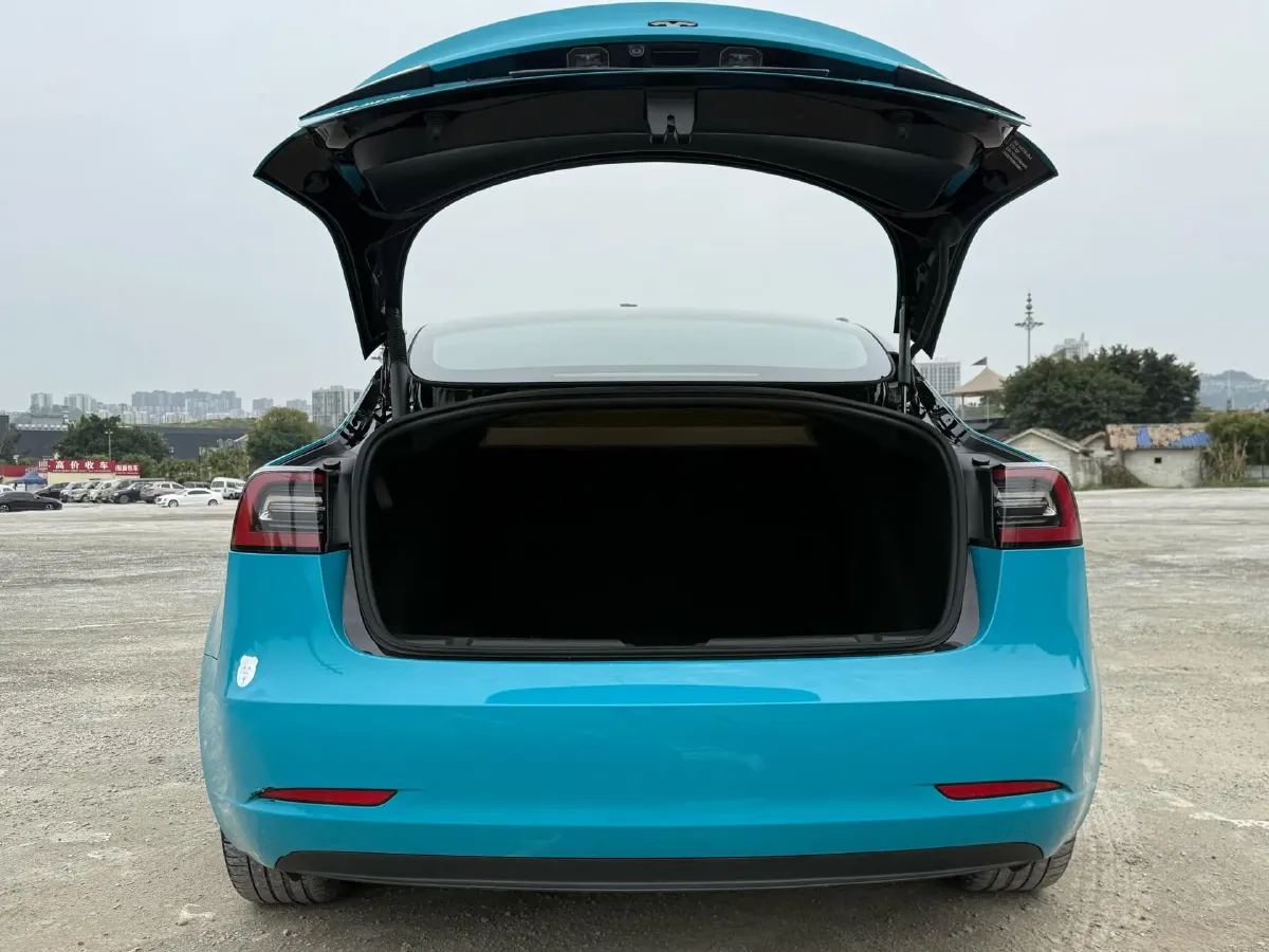 2022 Tesla Model 3 BEV 60KWH,autocango,china used car exporter,china ev exporter,chinese used car exporter,chinese used ev exporter
