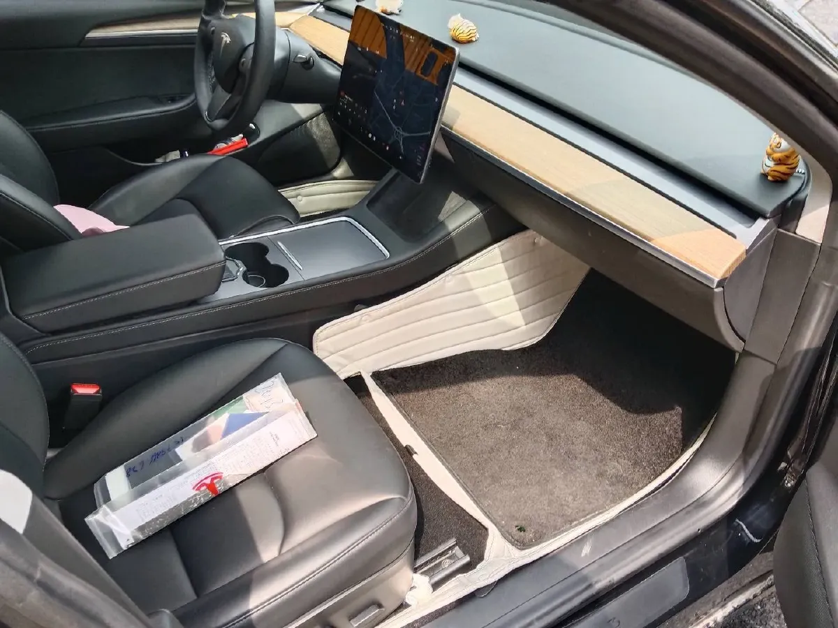 2021 Tesla Model 3 BEV 55KWH,autocango,china used car exporter,china ev exporter,chinese used car exporter,chinese used ev exporter