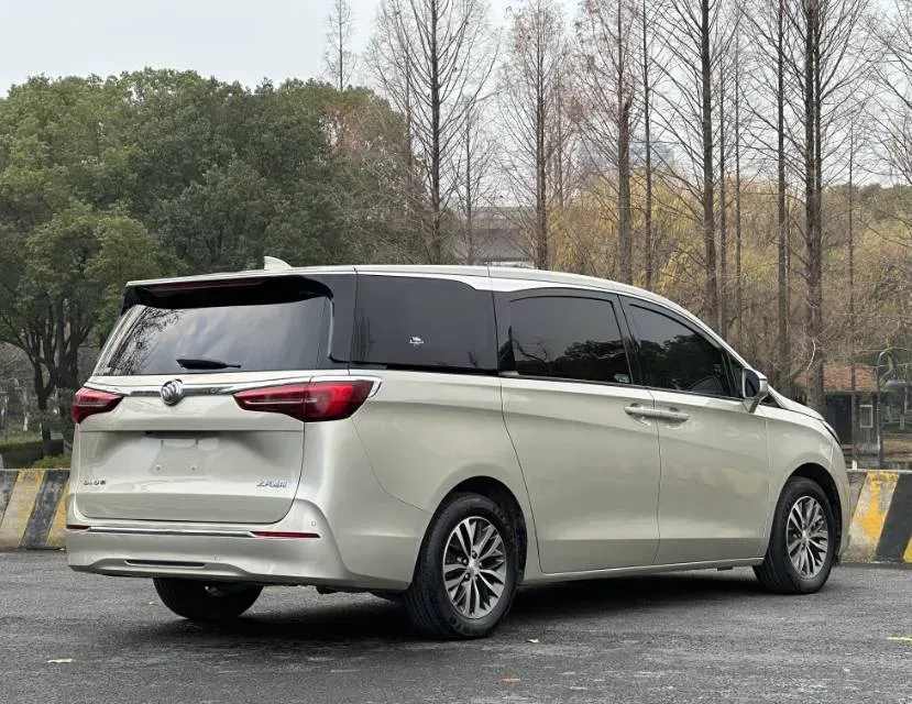 2021 Buick GL8 2.0T 237HP L4 9AT,autocango,china used car exporter,china ev exporter,chinese used car exporter,chinese used ev exporter