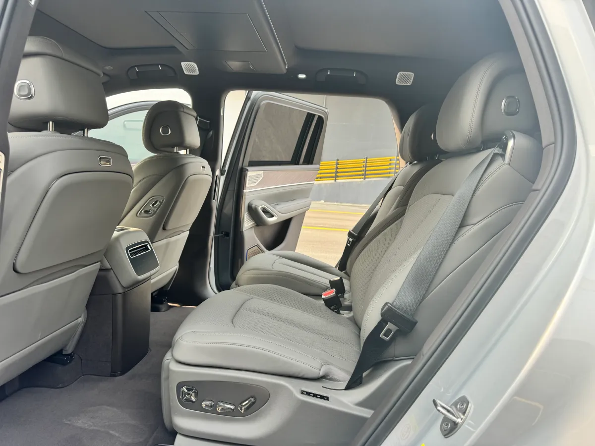 2025 Denza DenzaN9 2.0T 207HP L4 E-CVT PHEV,autocango,china used car exporter,china ev exporter,chinese used car exporter,chinese used ev exporter