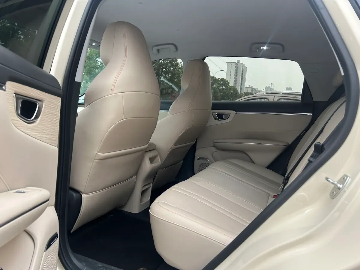 2025 WuLing BinGuo BEV,autocango,china used car exporter,china ev exporter,chinese used car exporter,chinese used ev exporter