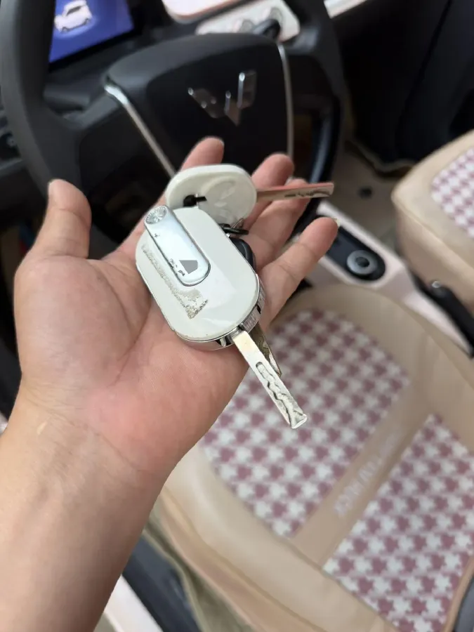 2022 WuLing HongGuang MINI EV BEV 13.9KWH,autocango,china used car exporter,china ev exporter,chinese used car exporter,chinese used ev exporter